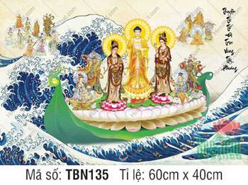 Thuyền Từ Tế Độ Trực Vãng Tây Phương TBN135, nét vẽ trang nghiêm