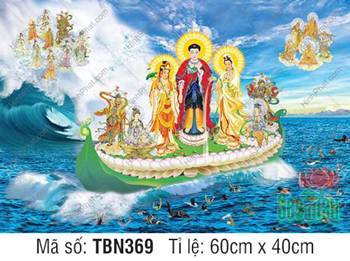 Thuyền Từ Tế Độ Trực Vãng Tây Phương TBN369, cứu độ chúng sinh