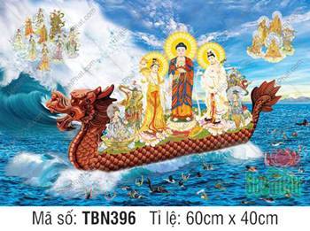 Thuyền Từ Tế Độ Trực Vãng Tây Phương TBN396, ngự thuyền rồng nâu