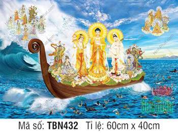 Thuyền Từ Tế Độ Trực Vãng Tây Phương TBN432, Đức Phật mặc y vàng rực Thuyền Từ Tế Độ Trực Vãng Tây Phương TBN432, Đức Phật mặc y vàng rực