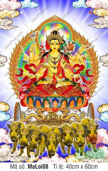 Hình Ma Lợi Chi Thiên MaLoi08, họa diện bảy heo rừng Hình Ma Lợi Chi Thiên MaLoi08, họa diện bảy heo rừng