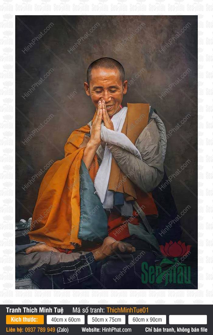 Thích Minh Tuệ 01 Thích Minh Tuệ 01 mặc y phấn tảo chắp tay mỉm cười