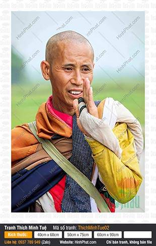 Sư Thích Minh Tuệ 02, chắp tay y phấn tảo trang nghiêm