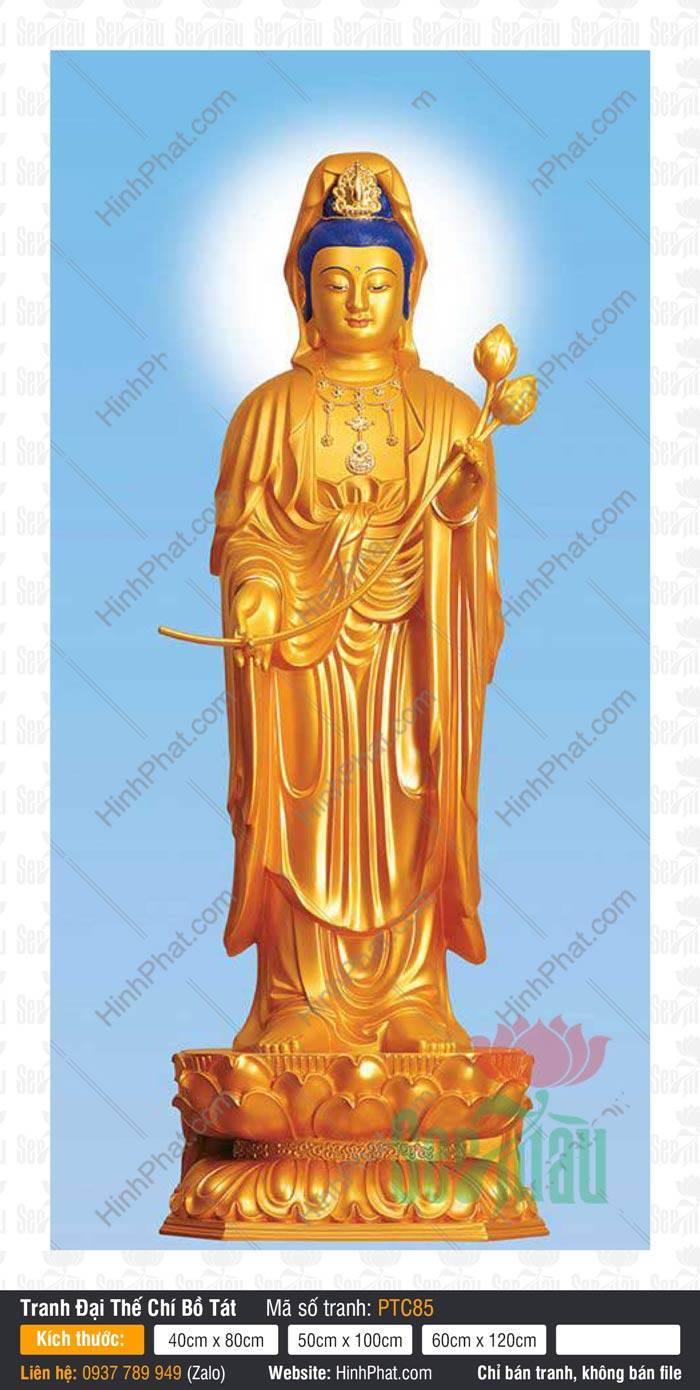 Đại Thế Chí Bồ Tát Đẹp PTC85 Hình Đại Thế Chí Bồ Tát Đẹp PTC85 tôn tượng dát vàng toàn thân cầm nụ sen trên nền xanh