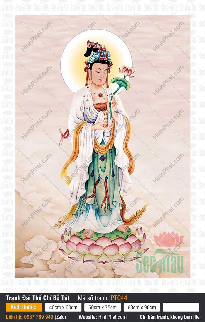 Đại Thế Chí Bồ Tát PTC44 Hình Đại Thế Chí Bồ Tát PTC44 đứng trên đài sen hồng cầm cành hoa thanh tịnh