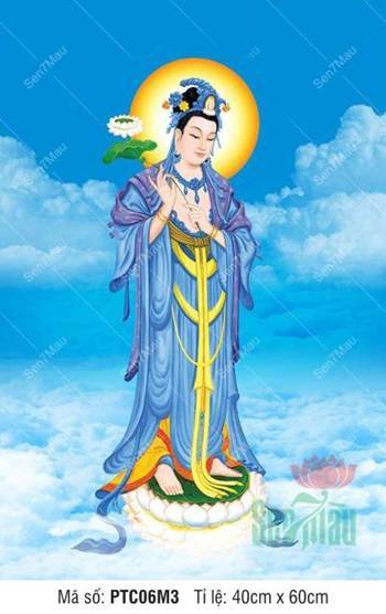 Bồ Tát Đại Thế Chí PTC06M3, Ngài ngự trên tòa sen trắng
