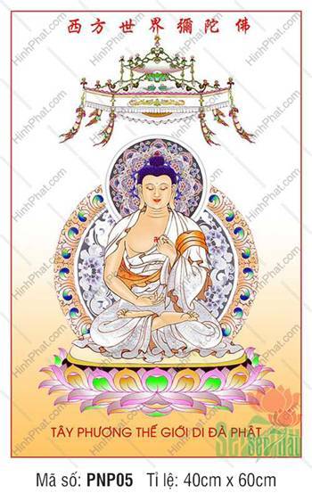 Tây Phương Thế Giới Di Đà Phật PNP05, Ngũ Phương Phật