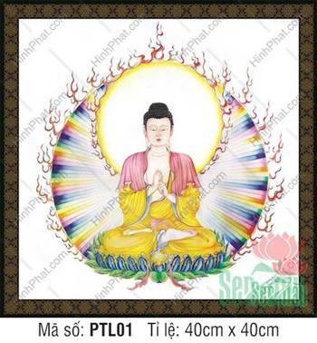 Như Lai Đại Nhật PTL01, Ngài tọa tòa sen hào quang rực rỡ