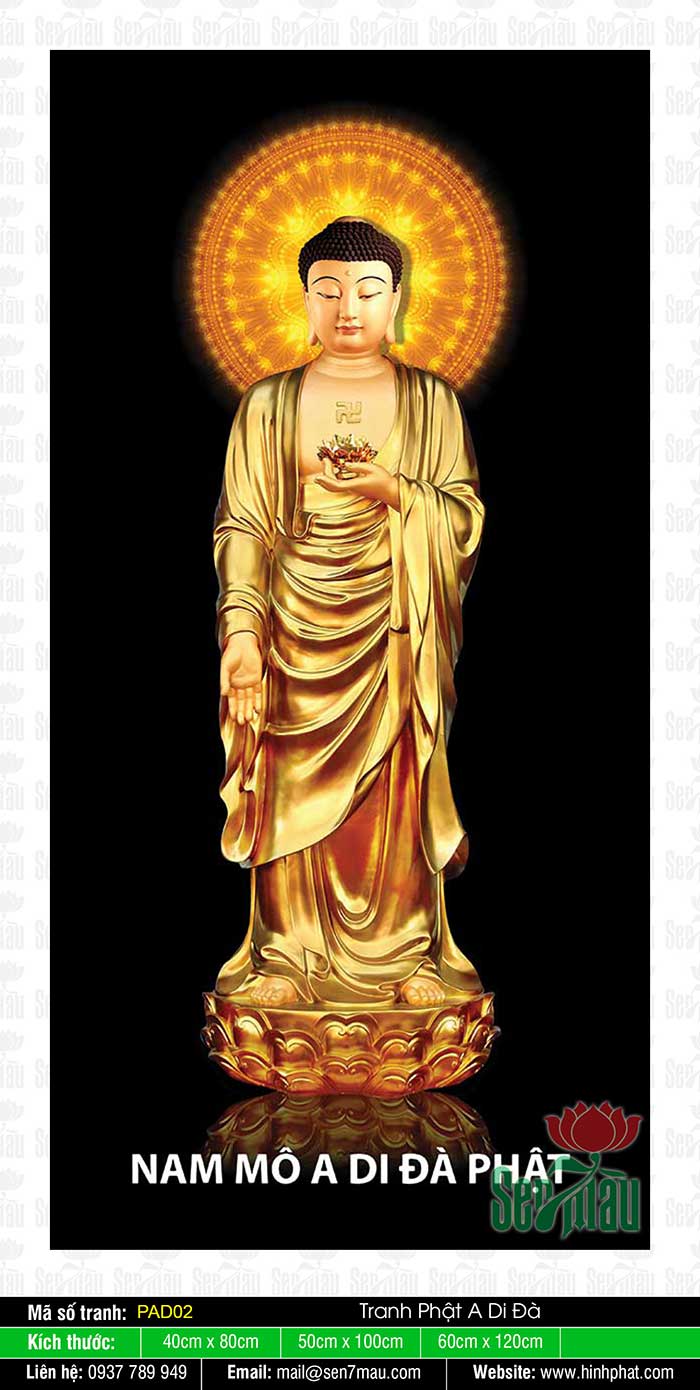 Top 10 hình Phật A Di Đà đẹp nhất  Công ty TNHH Buddhist Art