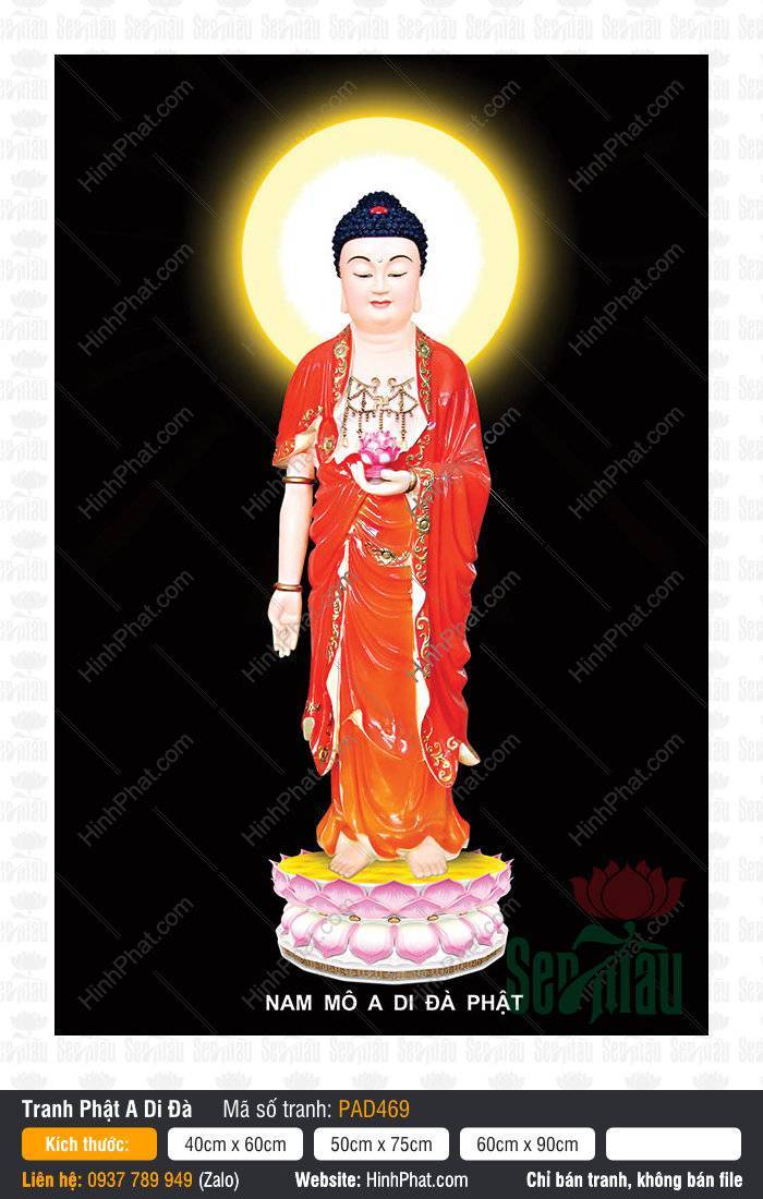 Ảnh A Di Đà Phật Đẹp PAD469 Ảnh A Di Đà Phật Đẹp PAD469 Đức Phật đứng áo đỏ nâng sen hồng