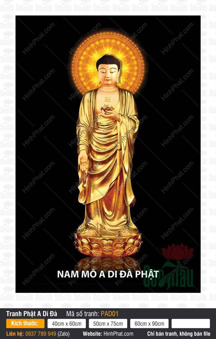 Ảnh A Di Đà Phật PAD01 Ảnh A Di Đà Phật PAD01 đứng trên đài sen vàng tỏa hào quang rực rỡ