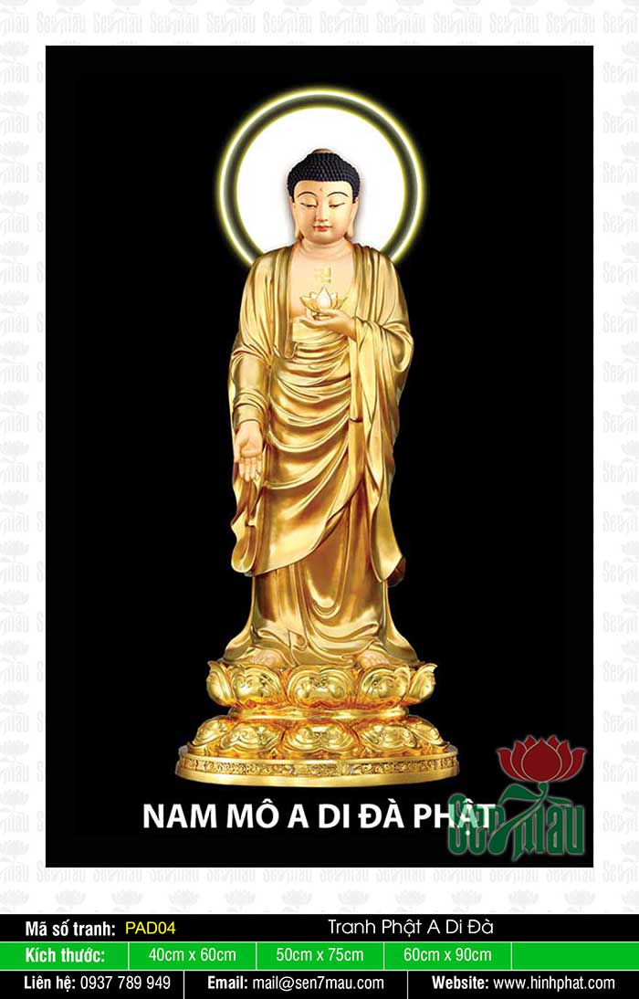 Ảnh Đức Phật A Di Đà Chất Lượng - PAD04
