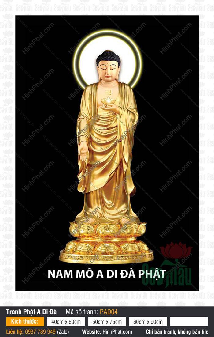 Ảnh Đức Phật A Di Đà Chất Lượng PAD04 Ảnh Đức Phật A Di Đà Chất Lượng với y vàng nổi bật nền đen