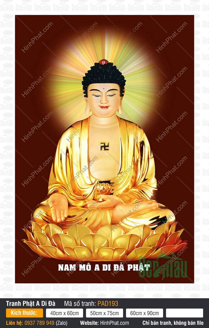 Ảnh Đức Phật A Di Đà Chất Lượng PAD193 Ảnh Đức Phật A Di Đà Chất Lượng PAD193 an tọa trên tòa sen vàng rực rỡ