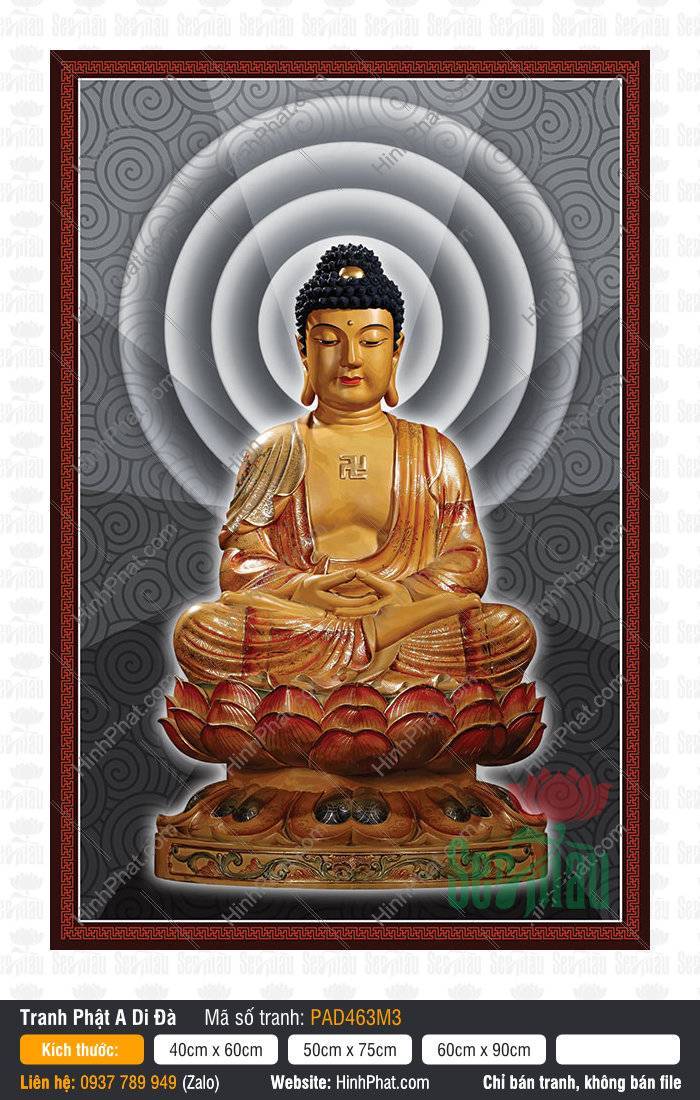 Ảnh Đức Phật A Di Đà PAD463M3 Tranh ảnh Đức Phật A Di Đà tọa đài sen đỏ trên phông nền hào quang xám