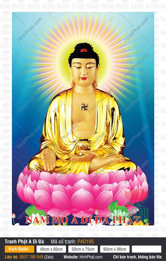 Ảnh Phật A Di Đà Chất Lượng Cao PAD195 Ảnh Phật A Di Đà Chất Lượng Cao PAD195 ngồi kiết già trên đài sen hồng