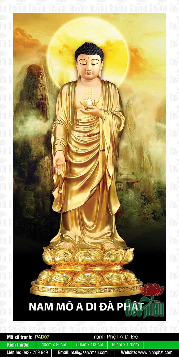 Ảnh Phật A Di Đà Đẹp - PAD07