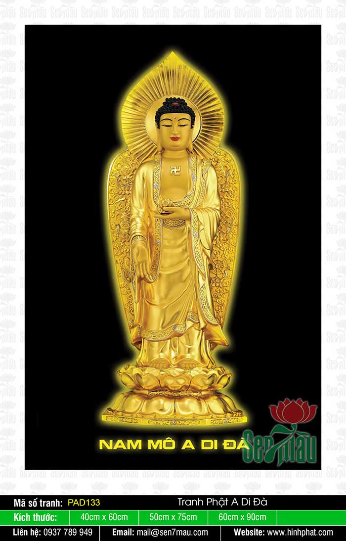 Ảnh Phật A Di Đà Đẹp - PAD133