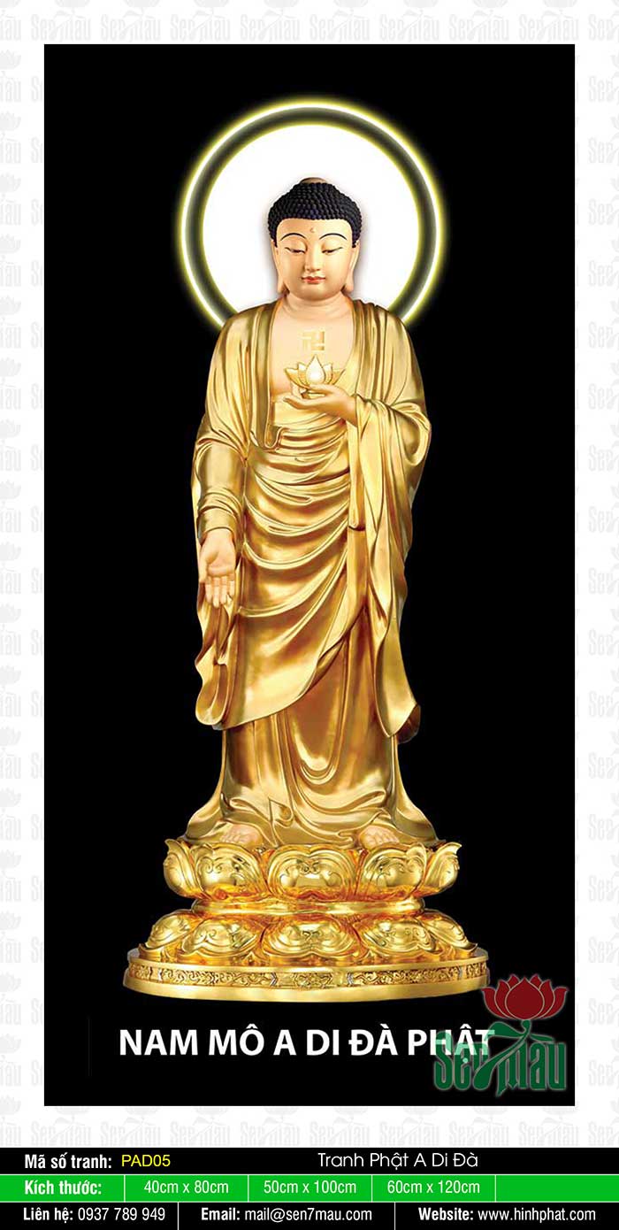 Ảnh Phật A Di Đà - PAD05