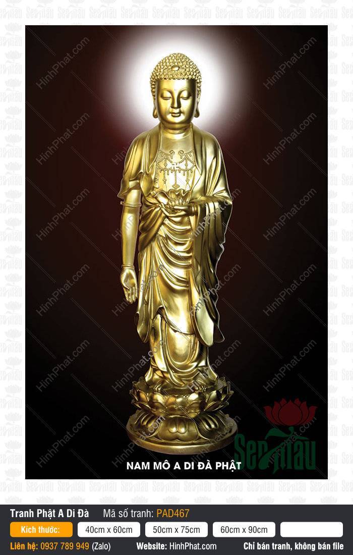 Ảnh Phật A Di Đà PAD467 Ảnh Phật A Di Đà PAD467 với dáng đứng uy nghiêm trên đài sen vàng tỏa sáng