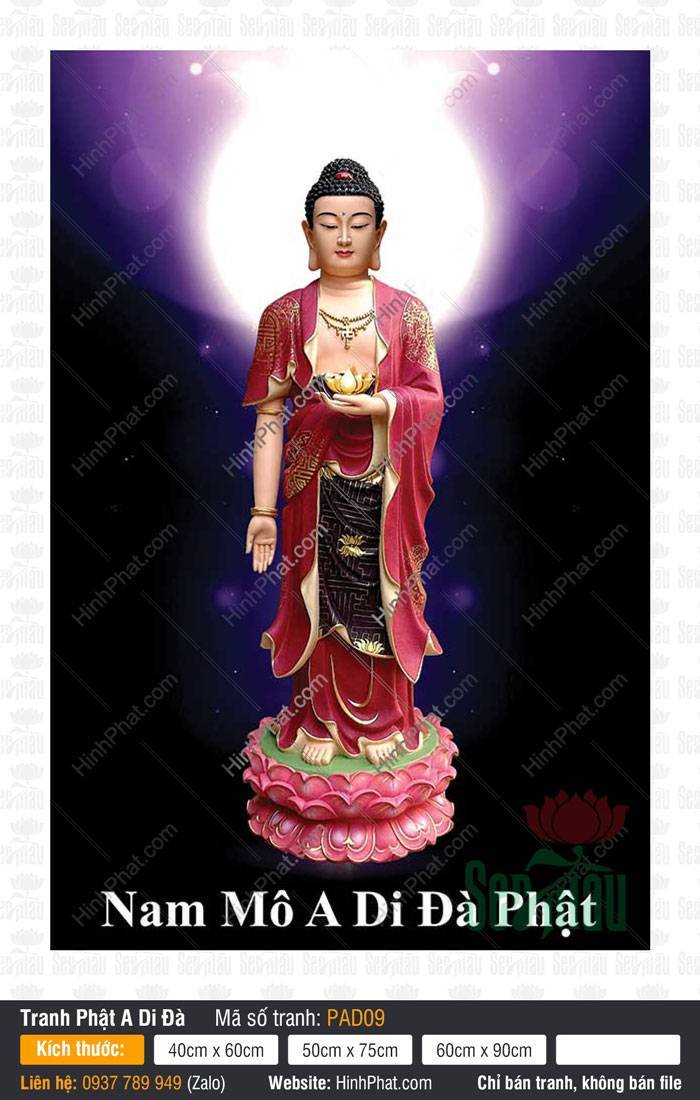 Bộ Sưu Tập Hình Ảnh Tuyệt Đẹp Về Đức Phật A Di Đà PAD09 Bộ sưu tập hình ảnh Đức Phật A Di Đà PAD09 y áo đỏ đài sen hồng