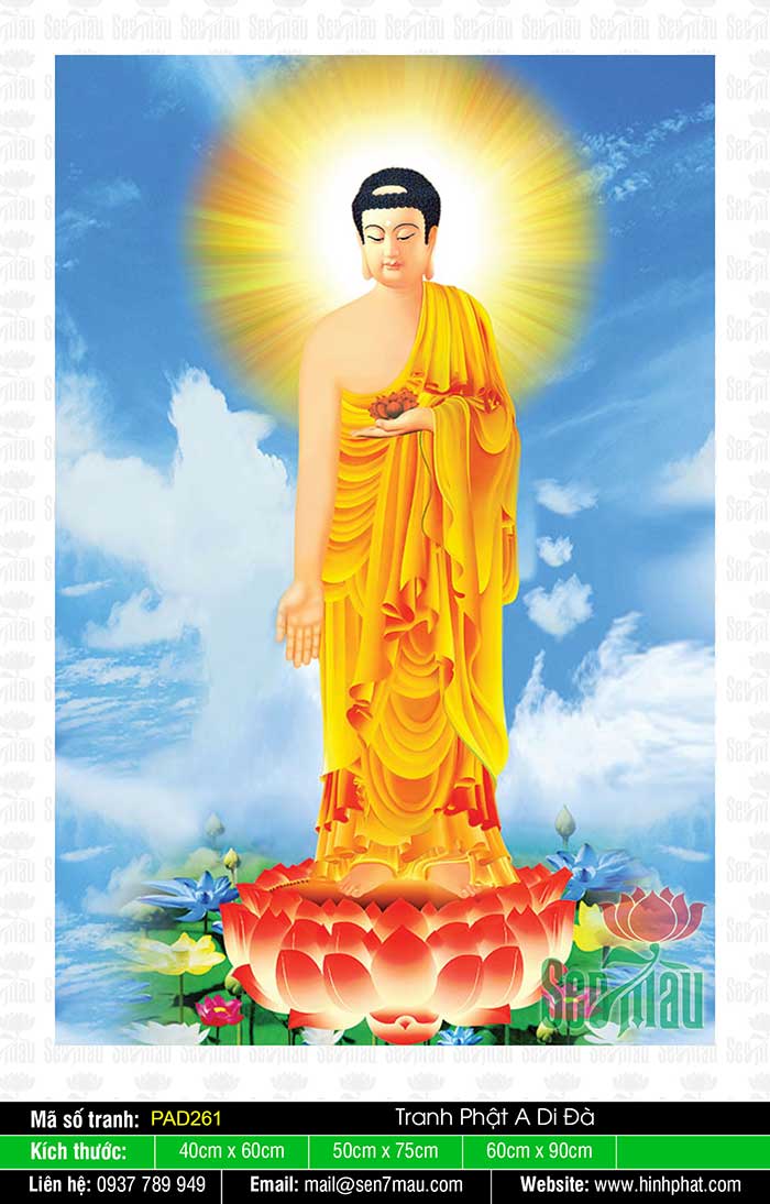Bộ Sưu Tập Hình Ảnh Tuyệt Đẹp Về Đức Phật A Di Đà - Pad261