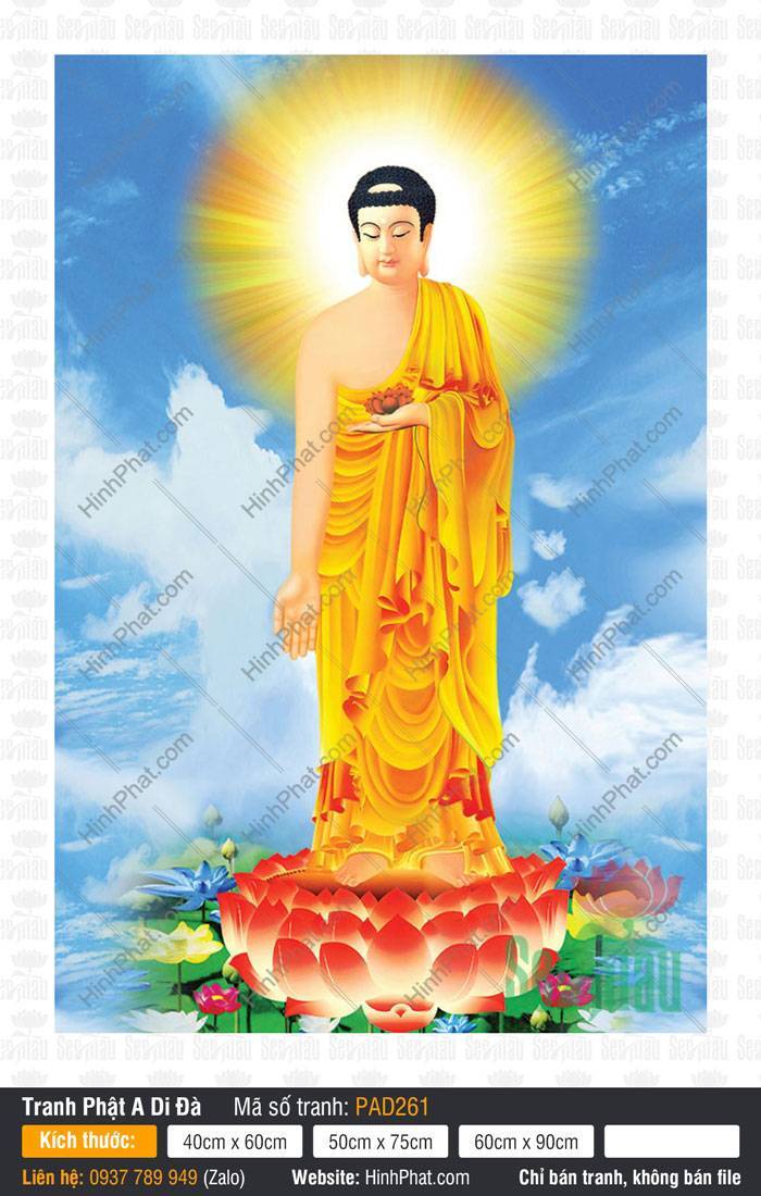 Bộ Sưu Tập Hình Ảnh Tuyệt Đẹp Về Đức Phật A Di Đà PAD261 Bộ Sưu Tập Hình Ảnh Tuyệt Đẹp Về Đức Phật A Di Đà PAD261 đứng tòa sen