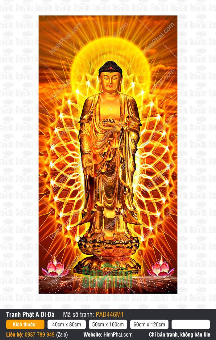 Đức Phật A Di Đà sắc vàng trên tòa sen và hào quang lửa
