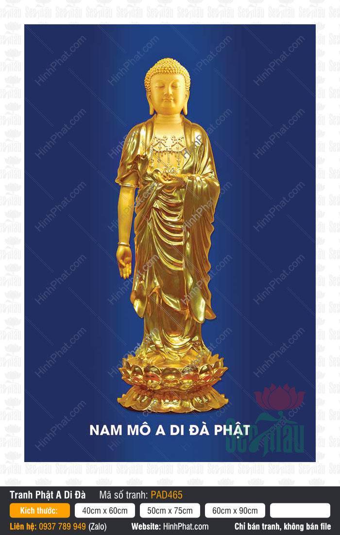 Đức Phật A-di-đà PAD465 Tranh Đức Phật A-di-đà PAD465 đứng trên đài sen vàng tỏa sáng trên phông nền xanh lam