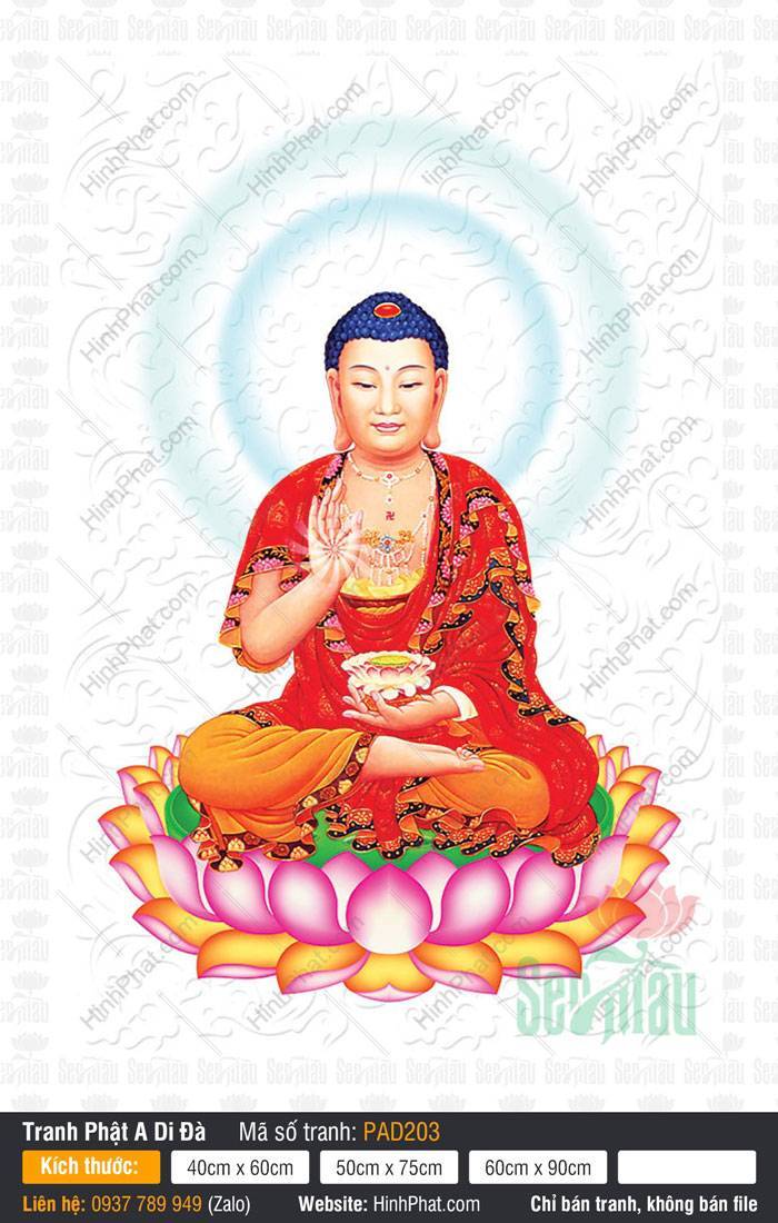 Hình A Di Đà Phật Chất Lượng Cao PAD203 Hình A Di Đà Phật Chất Lượng Cao ngồi kiết già trên đài sen hồng