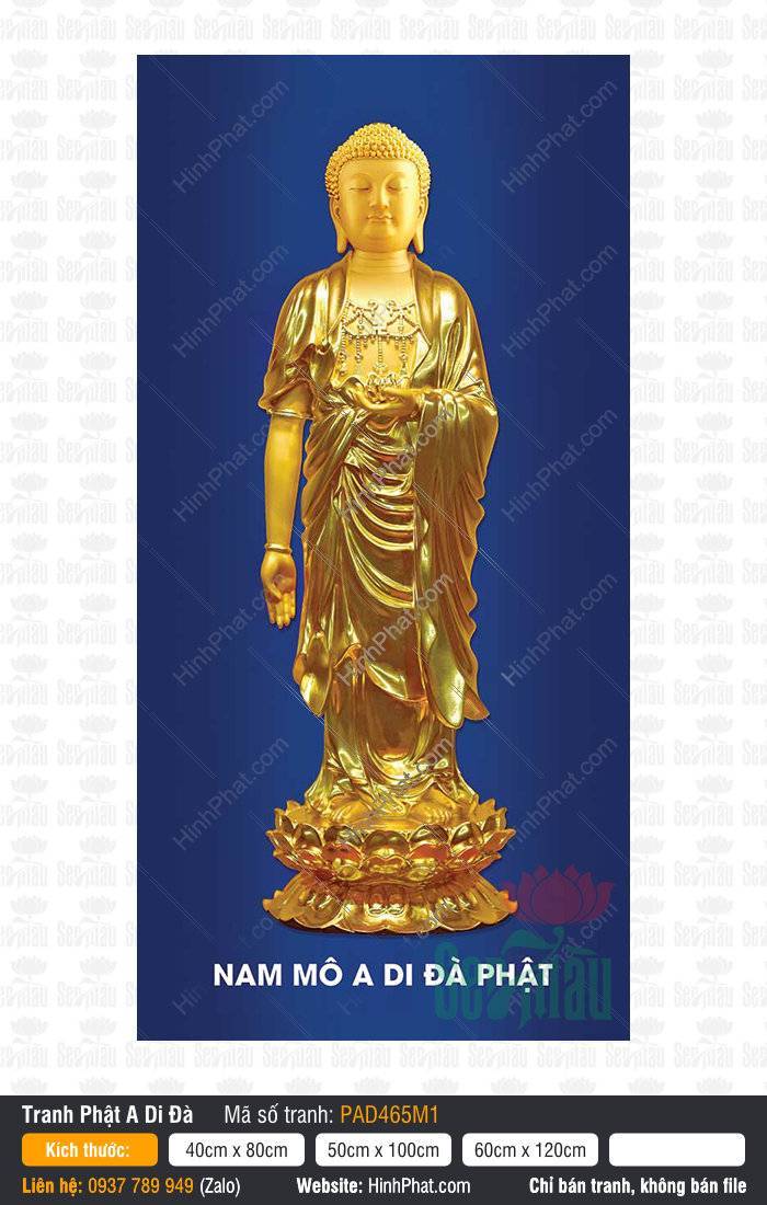 Hình A Di Đà Phật Chất Lượng Cao PAD465M1 Hình A Di Đà Phật Chất Lượng Cao PAD465M1 đứng trên đài sen vàng nền xanh lam