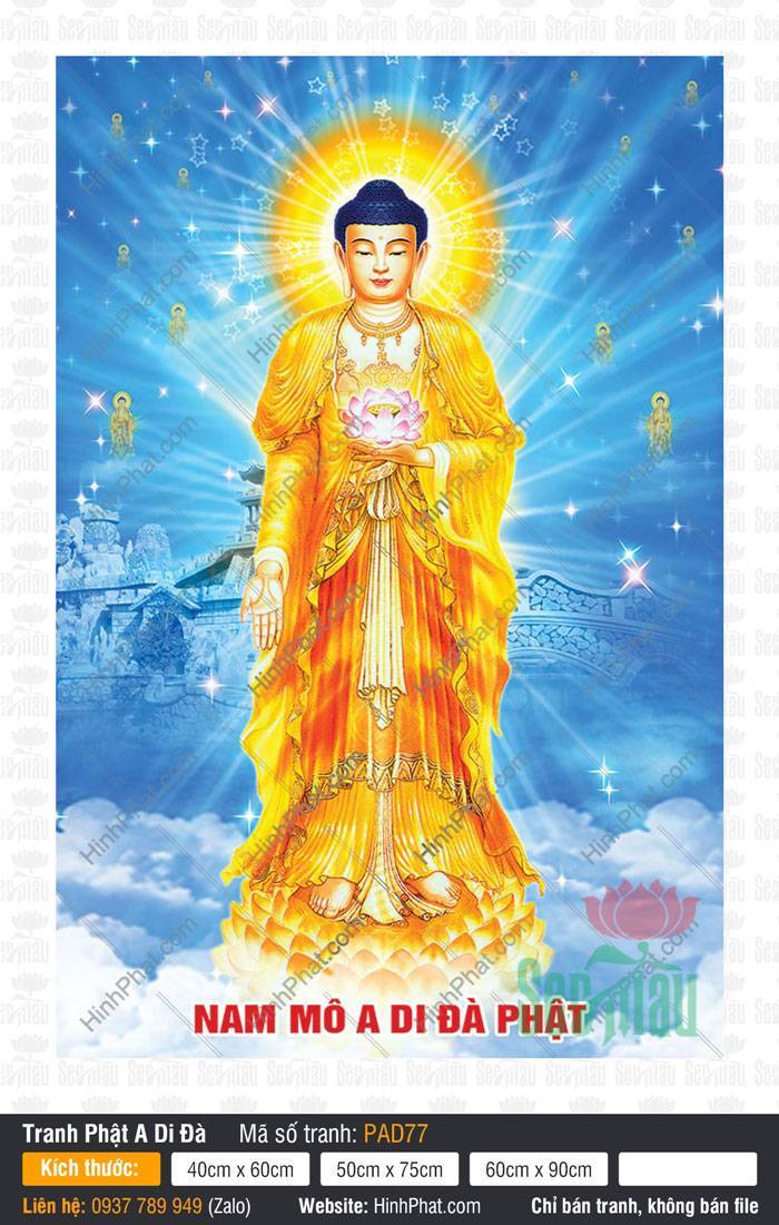 Hình A Di Đà Phật Chất Lượng Cao PAD77 Hình A Di Đà Phật Chất Lượng Cao PAD77 ngự đài sen lấp lánh