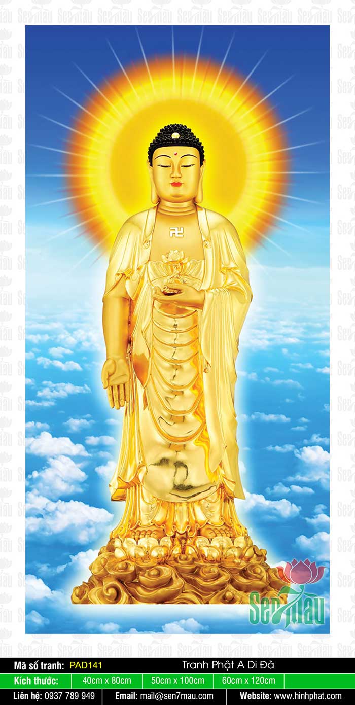 Hình A Di Đà Phật Đẹp - PAD141