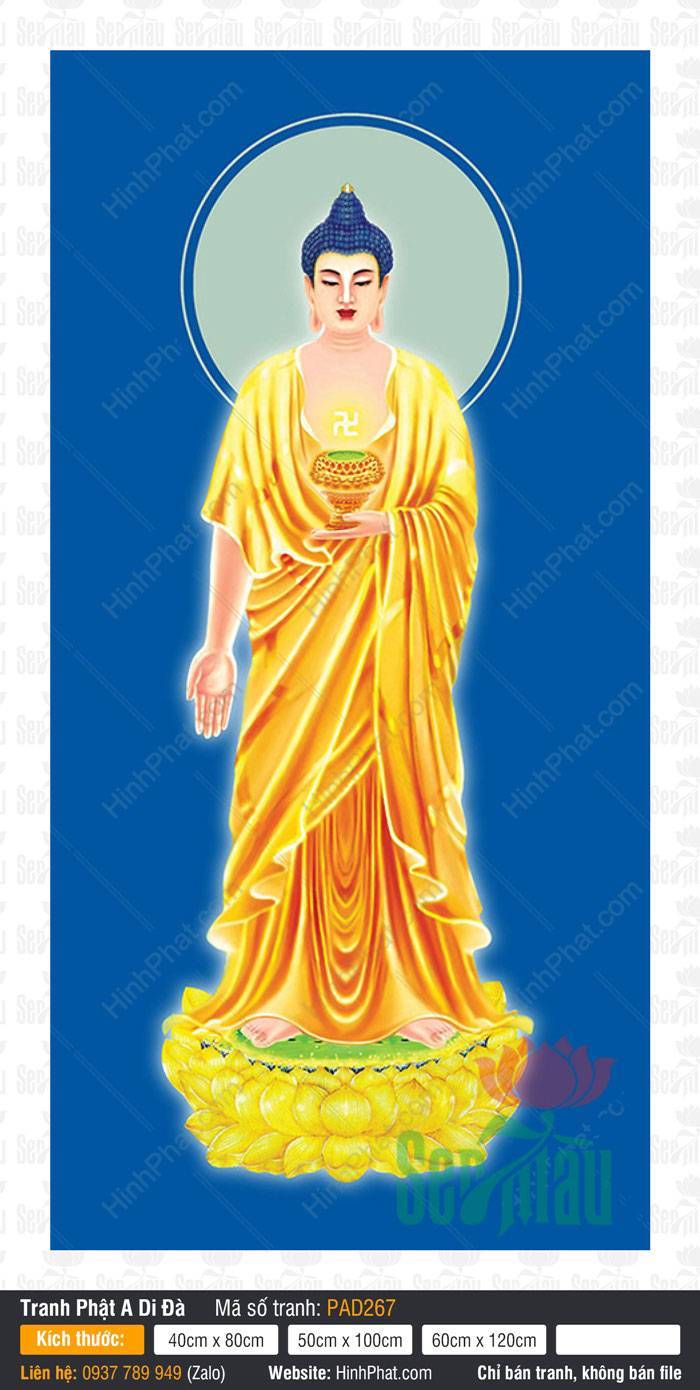 Hình A Di Đà Phật Đẹp PAD267 Hình A Di Đà Phật Đẹp PAD267 dáng đứng ngự đài sen vàng trên nền xanh lam