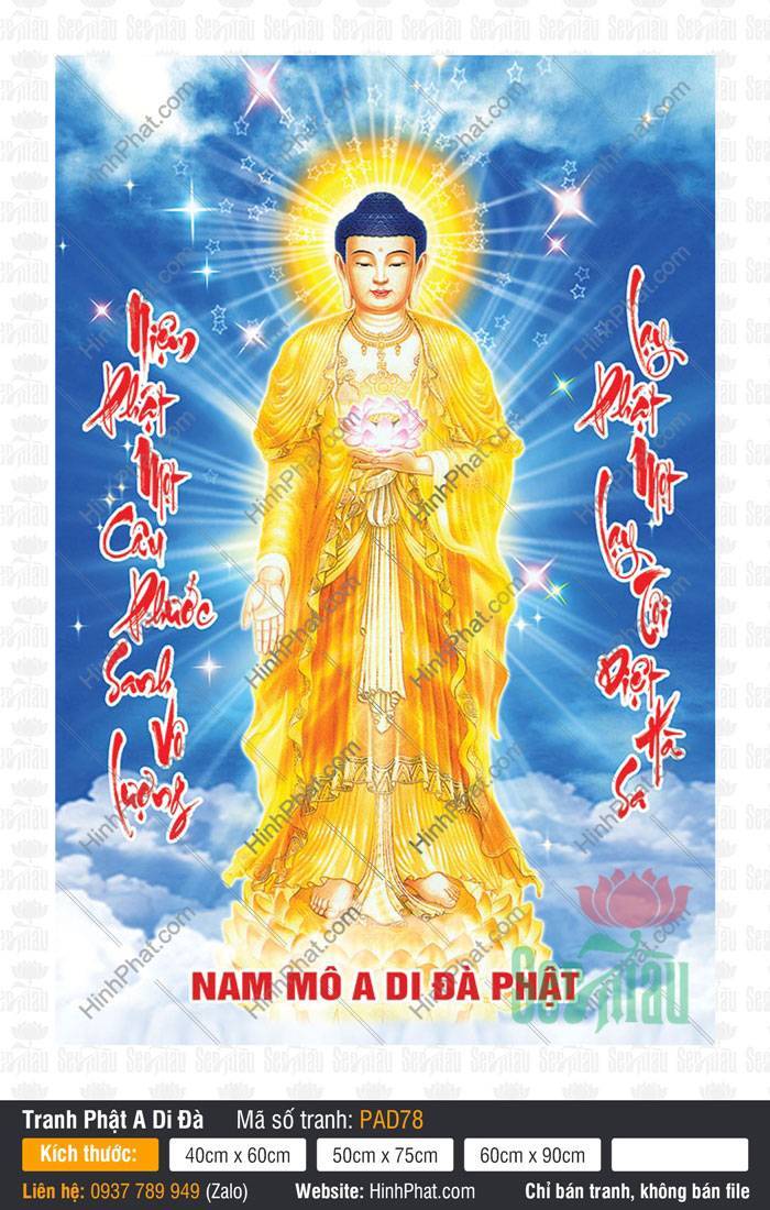 Hình A Di Đà Phật Đẹp PAD78 Hình A Di Đà Phật Đẹp PAD78 khoác y áo vàng đứng ngự đài sen