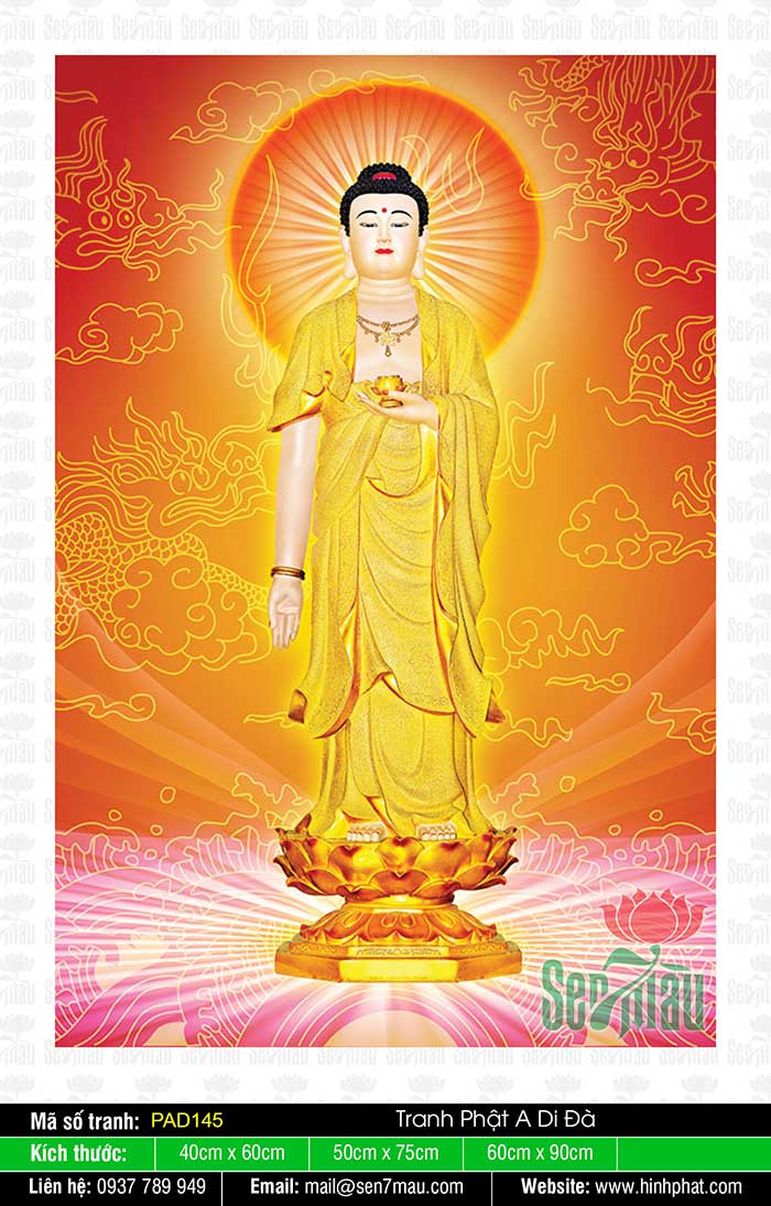 Hình Ảnh Đức Phật A Di Đà Đẹp Nhất - Pad145