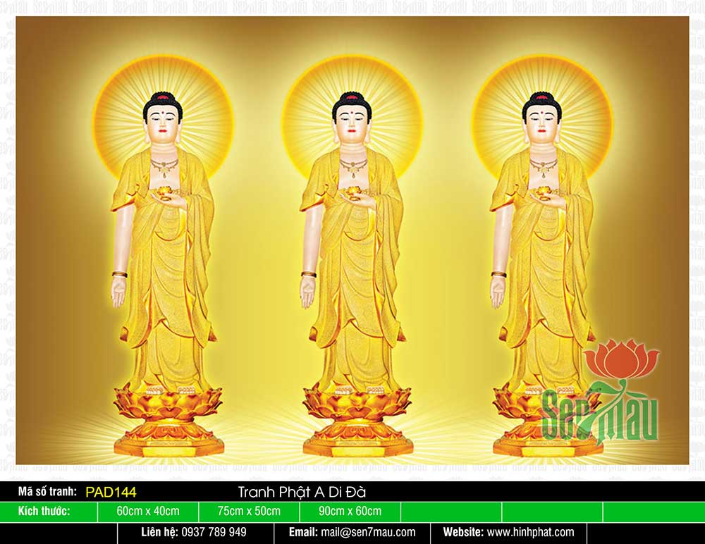 Hình ảnh PAD144 thể hiện sự tôn trọng và quyết tâm tu tập của các Phật tử, đem lại sự cảm thông và động viên cho những ai trên con đường tu học.