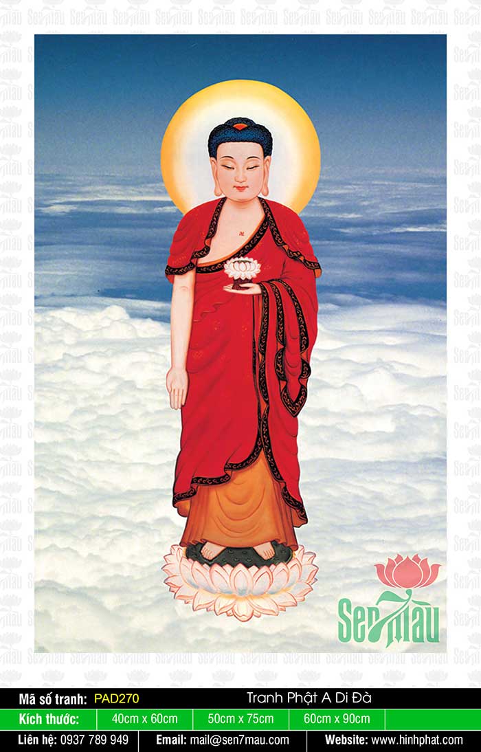 Đức Phật A Di Đà được thờ phượng và tôn kính từ lâu đời, với những công lao và giảng dạy ý nghĩa. Hãy cùng ngắm nhìn những hình ảnh đẹp về đấng Thế Tôn, để cảm nhận trọn vẹn những giá trị đích thực của tôn giáo và đạo pháp.