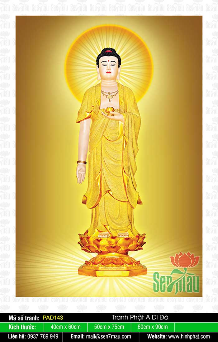 Hình Ảnh Đức Phật A Di Đà - PAD143