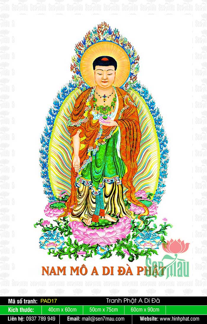 Hình Ảnh Đức Phật A Di Đà - PAD17