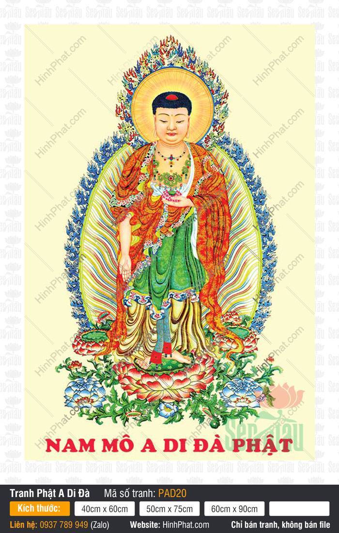 Hinh Anh Nam Mô A Di Đà Phật PAD20 Hinh Anh Nam Mô A Di Đà Phật PAD20 với hào quang lửa nhiều màu