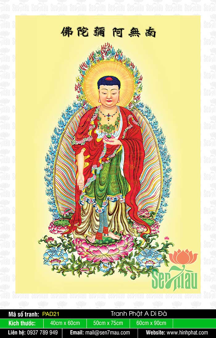 Xem ảnh Nam Mô A Di Đà Phật để đón nhận lượng năng lượng tích cực từ vị phật đại nhân, từ đó mang lại sự thanh thản và an lạc cho chính mình.