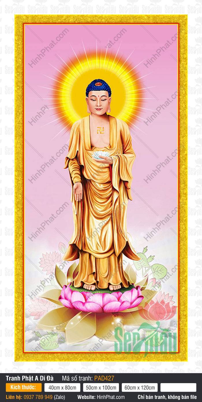 Hinh Anh Nam Mô A Di Đà Phật PAD427 Hinh Anh Nam Mô A Di Đà Phật PAD427 đứng trên đài sen hồng