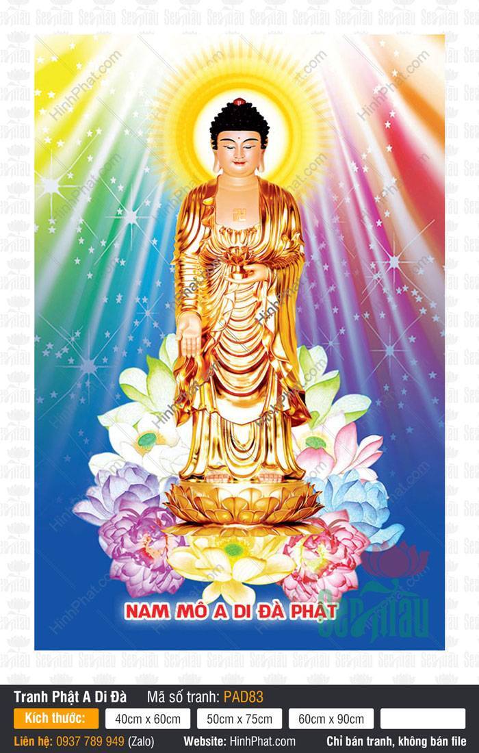 Hinh Anh Nam Mô A Di Đà Phật PAD83 Hinh Anh Nam Mô A Di Đà Phật PAD83 tỏa sắc vàng ngự đài sen nền cầu vồng