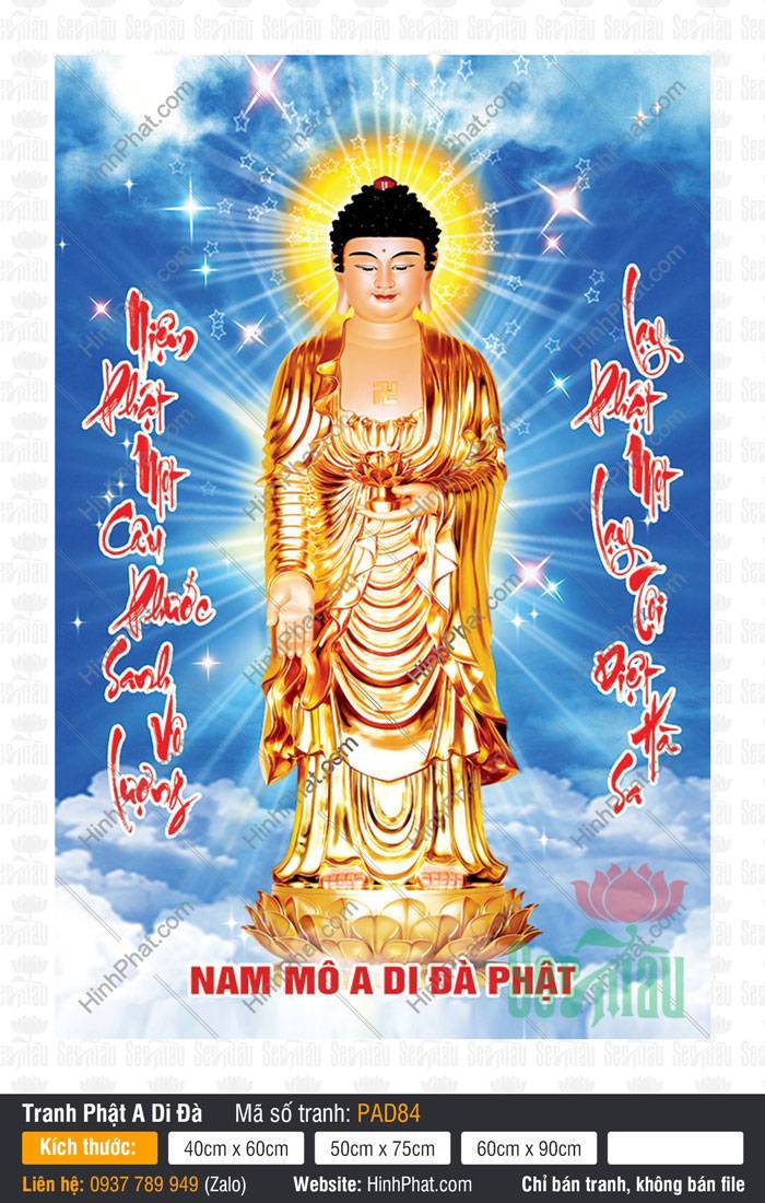 Hình Ảnh Nam Mô A Di Đà Phật PAD84 Hình Ảnh Nam Mô A Di Đà Phật PAD84 ngự đài sen vàng nền trời xanh
