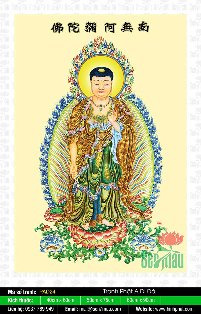 Hình Ảnh Phật A Di Đà Chất Lượng Cao - PAD24