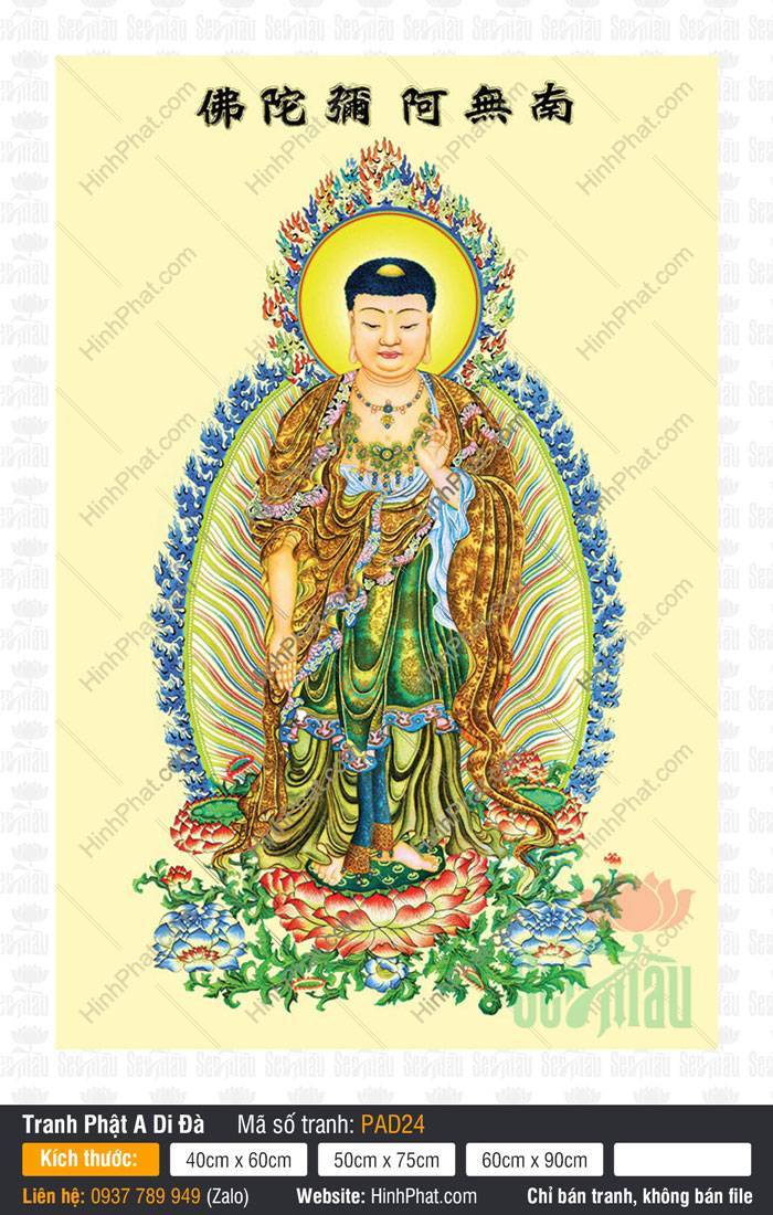 Hình Ảnh Phật A Di Đà Chất Lượng Cao PAD24 Hình Ảnh Phật A Di Đà Chất Lượng Cao đứng mang y gấm vàng trên đài sen