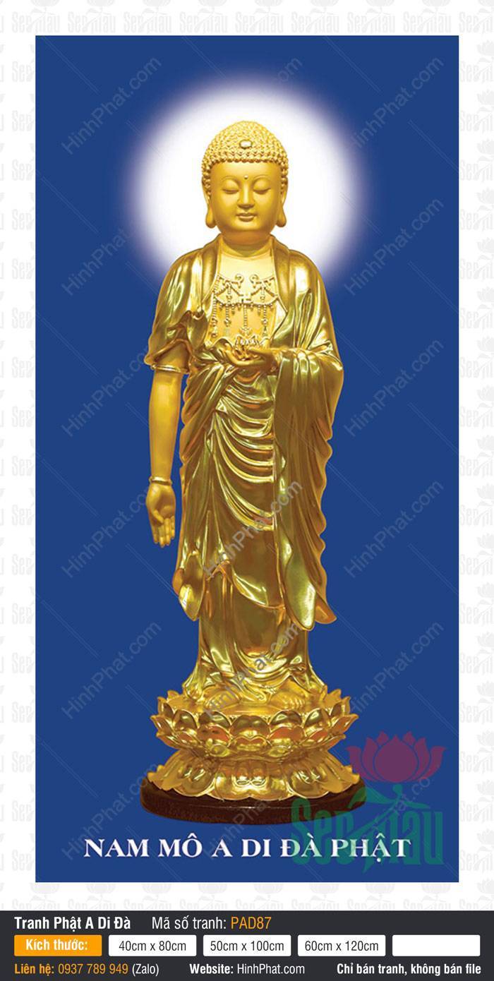 Hình Ảnh Phật A Di Đà Chất Lượng Cao PAD87 Hình Ảnh Phật A Di Đà Chất Lượng Cao PAD87 sắc vàng trên đài sen