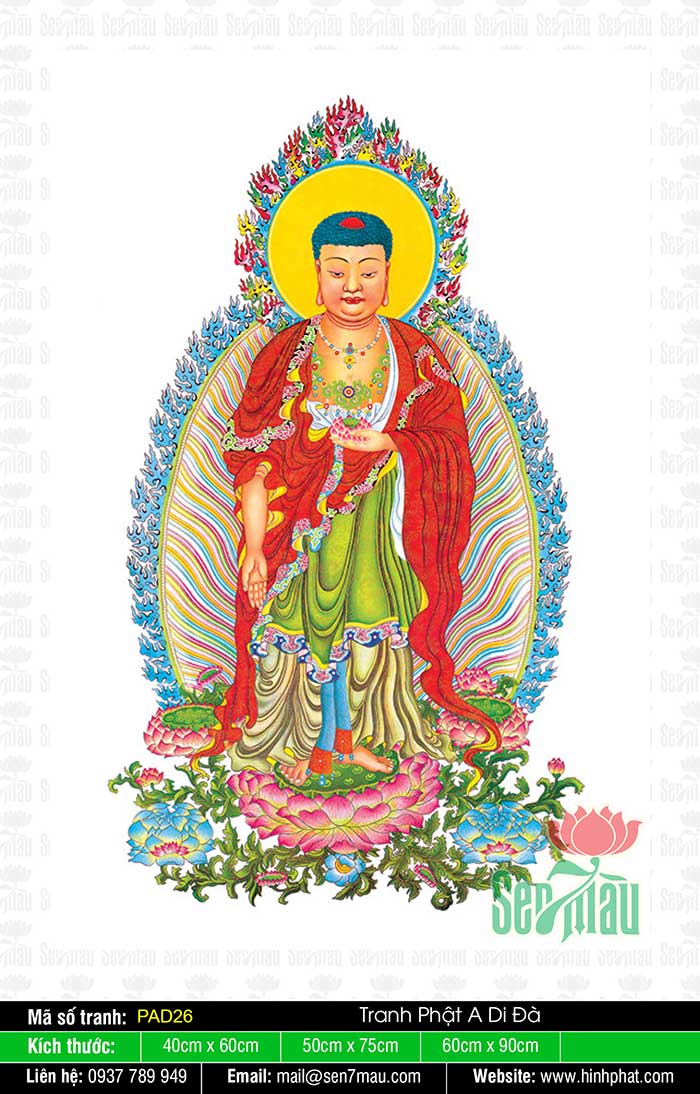 Hình Ảnh Phật A Di Đà Đẹp Nhất - PAD26
