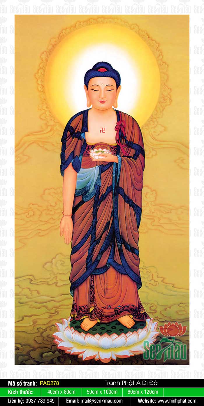 Hình Hình ảnh Phật A Di Đà Đẹp Nhất PAD278